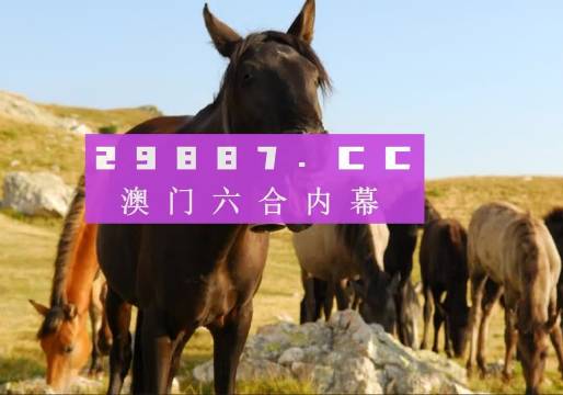 互联网 第132页