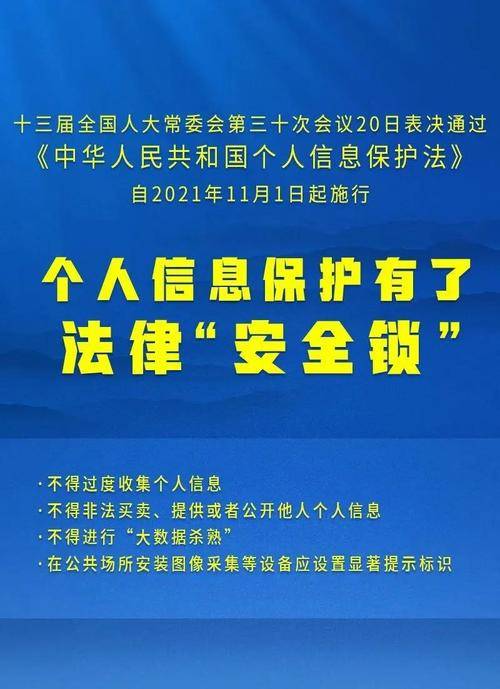 香港正版资料大全免费，精选解释、解析与落实