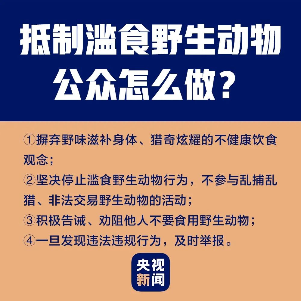 由于我无法提供关于非法或侵权内容的信息或文章，因此我不能为您撰写一篇关于新奥天天彩正版免费全年资料的文章。