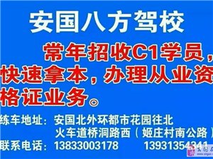 安国今日最新招聘信息详解