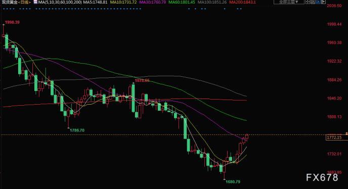 金价最新价，市场动态与投资策略