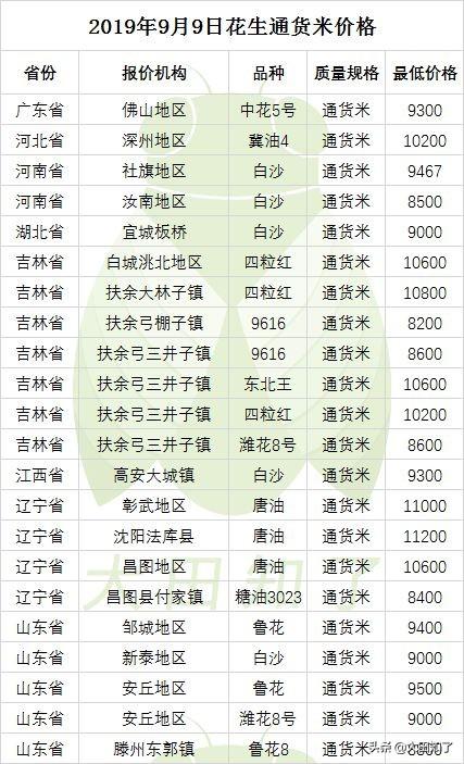 花生最新价格解析