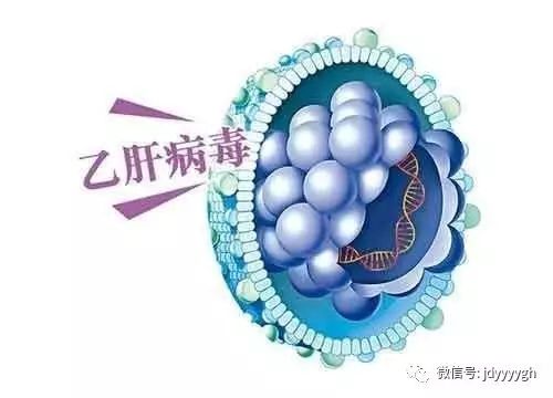 乙肝最新研究与进展